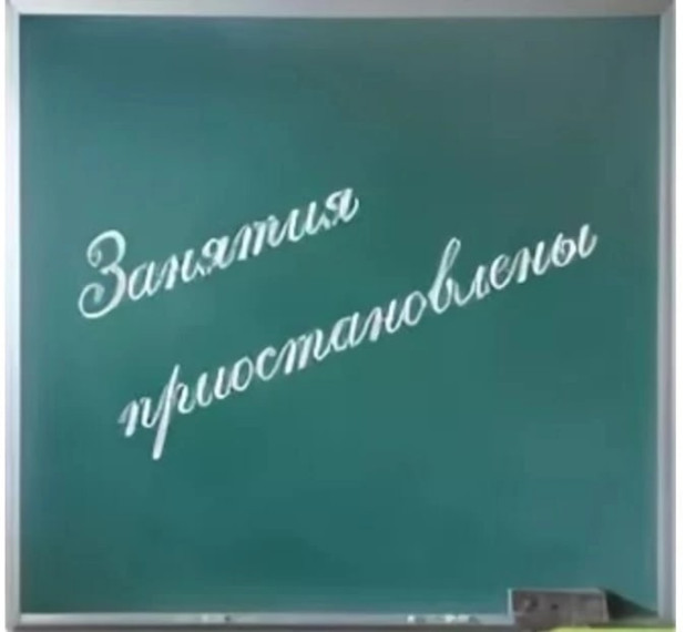 Приостановление образовательного процесса.